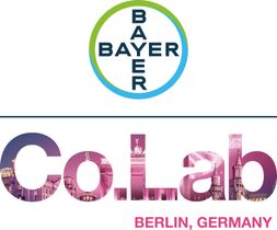 KVV_CoLab_Berlin_on-scree_basic_RGB